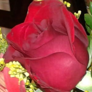 Meet your Posher, Carla